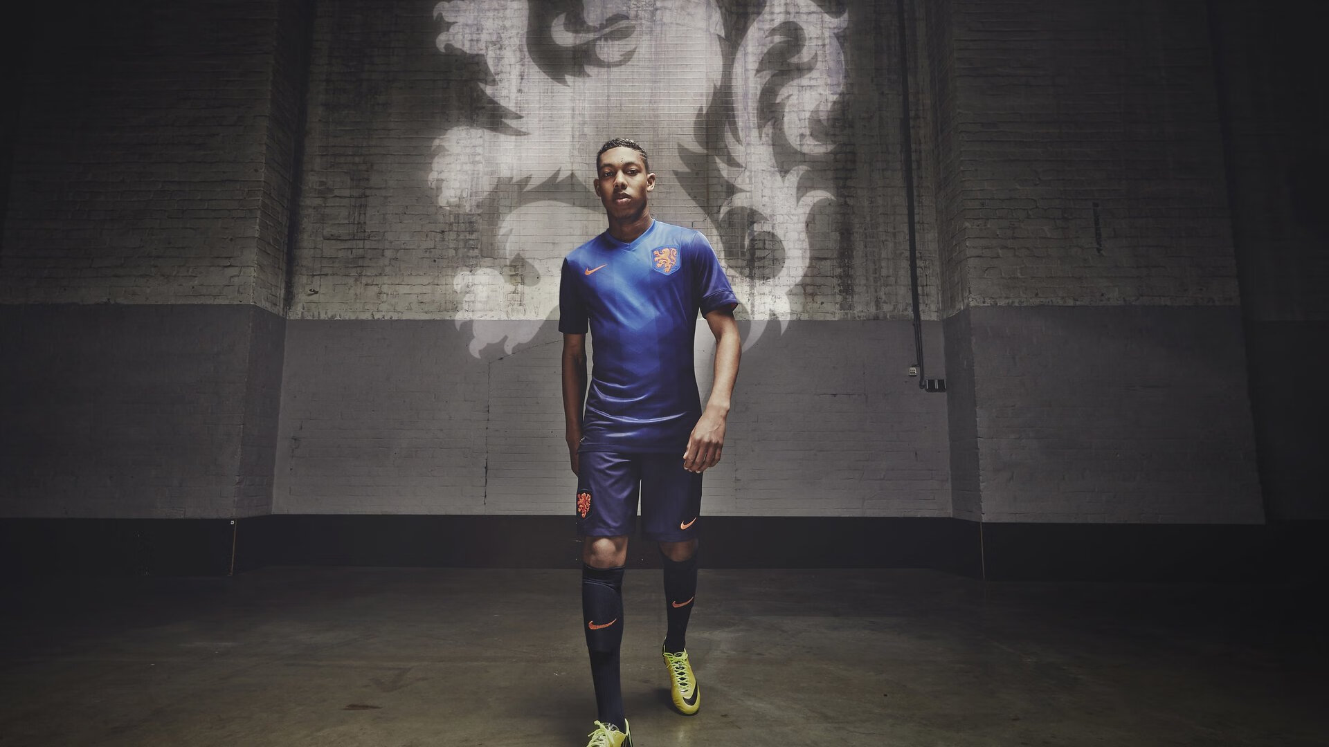 体育产业年度投资排行